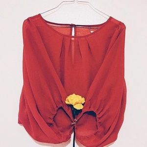 sheer pumpkin blouse